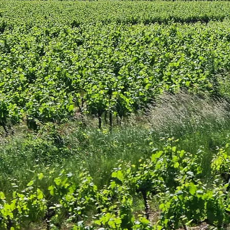 Vila Le Domaine Du Moulin De Cors