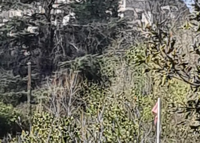 Le Domaine Du Moulin De Cors * La Roque-sur-Cèze